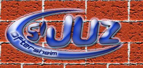 JUZ (Logo 2007 in Farbe)