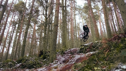 Mountainbiker im Wald
